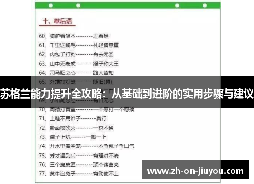 苏格兰能力提升全攻略：从基础到进阶的实用步骤与建议
