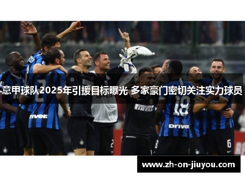 意甲球队2025年引援目标曝光 多家豪门密切关注实力球员