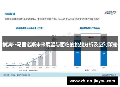 横滨F·马里诺斯未来展望与面临的挑战分析及应对策略