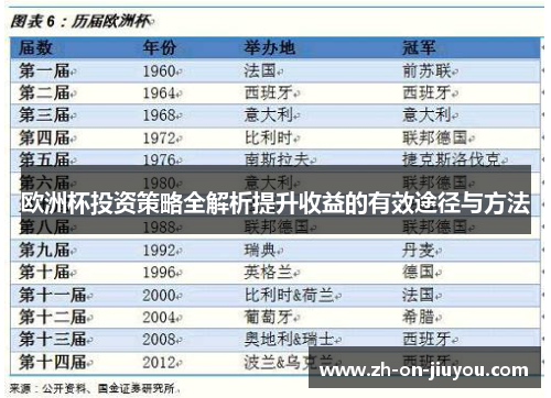 欧洲杯投资策略全解析提升收益的有效途径与方法