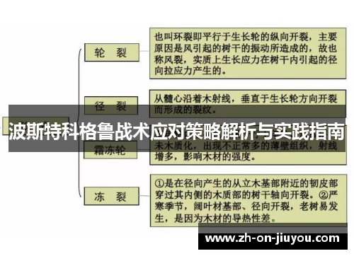 波斯特科格鲁战术应对策略解析与实践指南