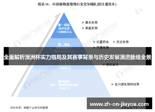 全面解析澳洲杯实力格局及其赛事背景与历史发展演进脉络全景 全面解析澳洲杯实力格局及其赛事背景与历史发展演进脉络全景