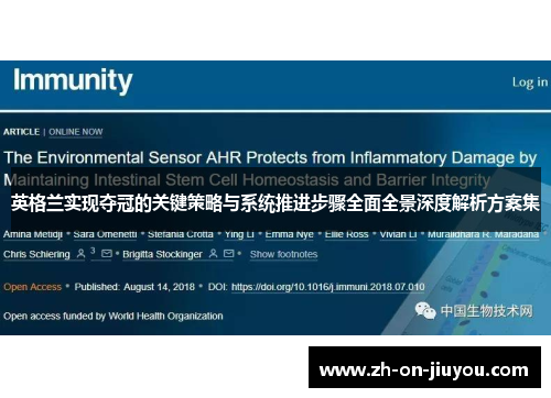 英格兰实现夺冠的关键策略与系统推进步骤全面全景深度解析方案集