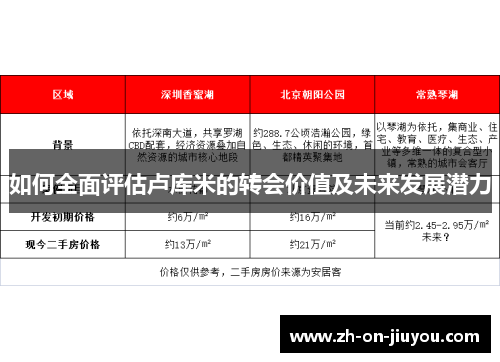 如何全面评估卢库米的转会价值及未来发展潜力