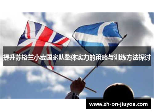 提升苏格兰小麦国家队整体实力的策略与训练方法探讨